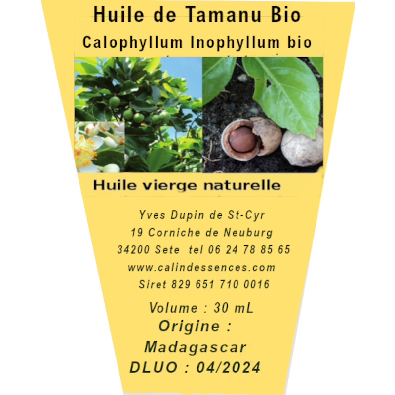 huile de tamanu callophylle