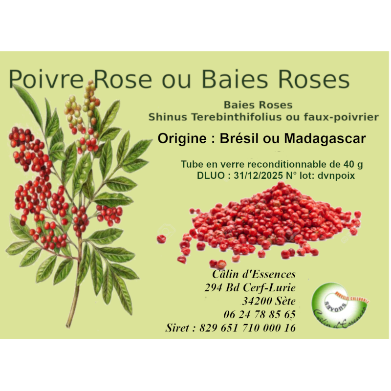 PLANTE MÉDICINALE de Baie rose (fruit)