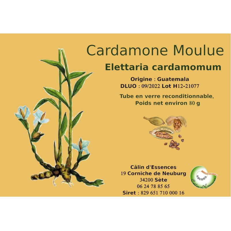 cardamone